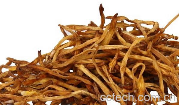 果蔬百科黄花菜-0