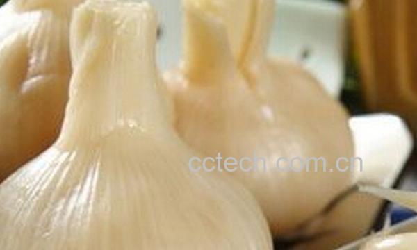 果蔬百科酸甜大蒜头-0