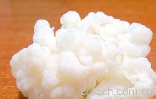 果蔬百科雪莲菌-0