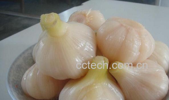 果蔬百科糖醋大蒜-0