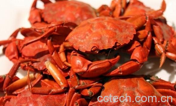 果蔬百科怀孕初期饮食禁忌-0