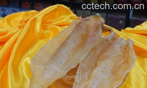 果蔬百科鱼胶-0