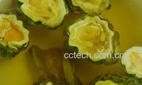 果蔬百科苦瓜绿茶-0