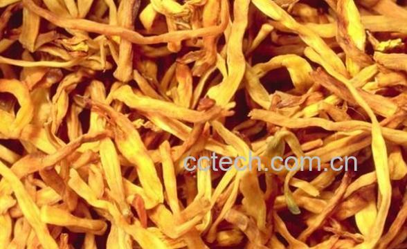 果蔬百科黄花菜-0