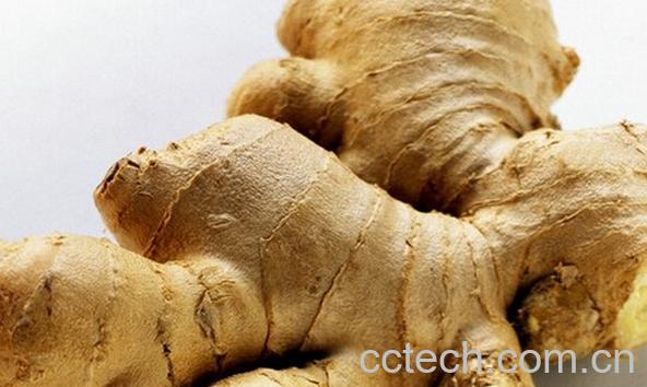 果蔬百科生姜水-0