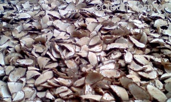 果蔬百科冬瓜根-0