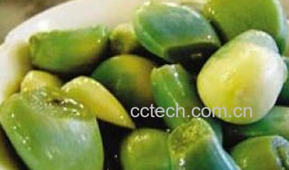 果蔬百科糖醋大蒜为什么会变绿-0