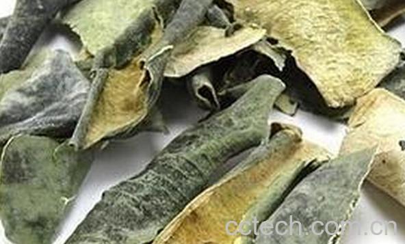 果蔬百科干冬瓜皮-0