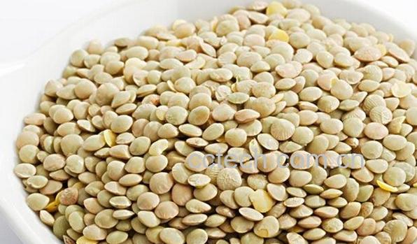 果蔬百科扁豆豆-0