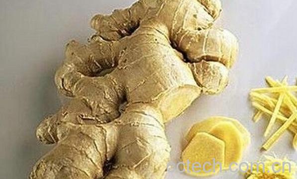 果蔬百科煮姜水-0