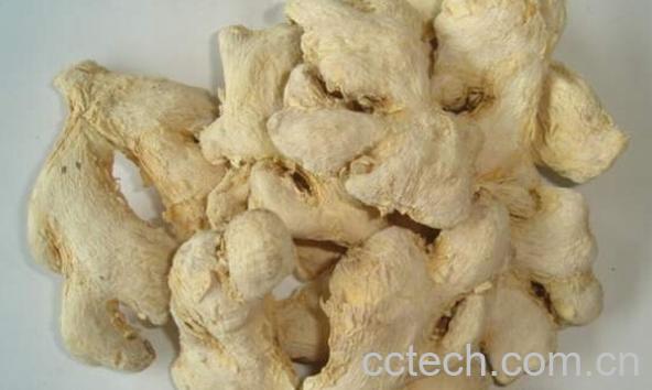 果蔬百科中药炮姜-0