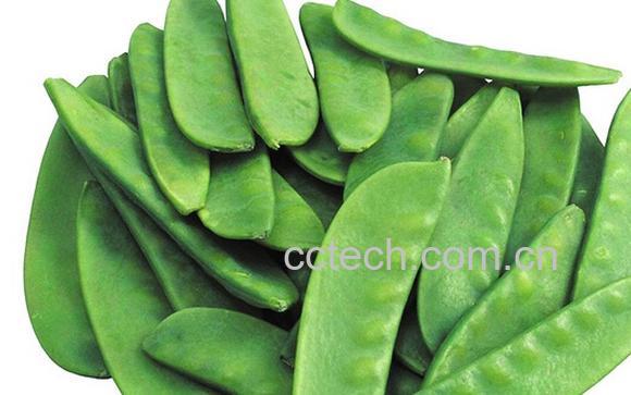 果蔬百科扁豆青豆中毒-0