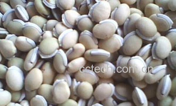 果蔬百科扁豆壳-0