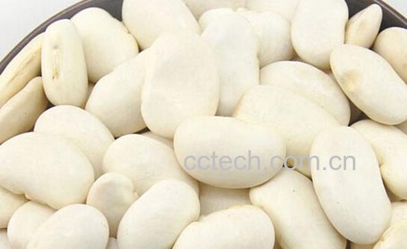 果蔬百科白芸豆和白扁豆的区别-0