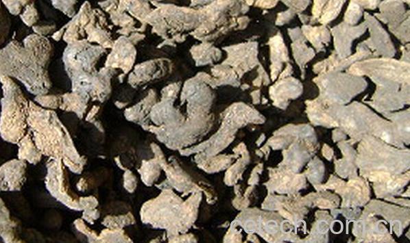 果蔬百科中药泡姜-0