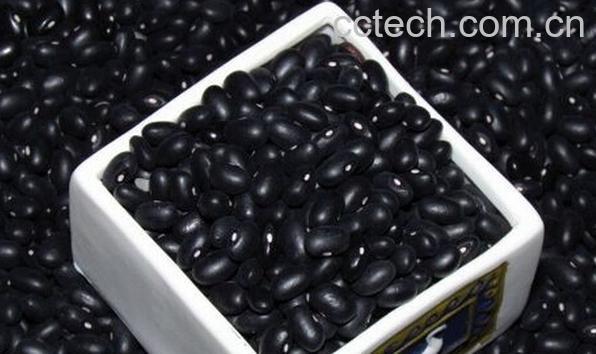 果蔬百科黑扁豆和黑豆的区别-0
