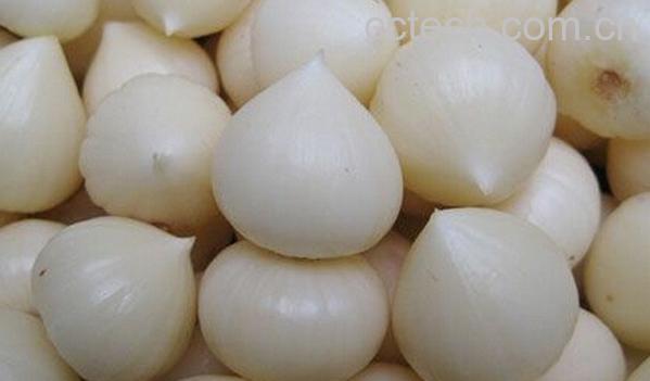 果蔬百科鲜大蒜怎么保存-0