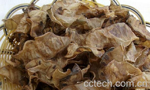 果蔬百科扁豆干-0