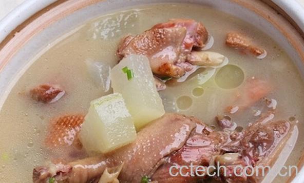 果蔬百科水鸭冬瓜汤-0