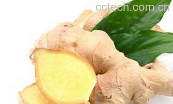 果蔬百科煮姜水-0