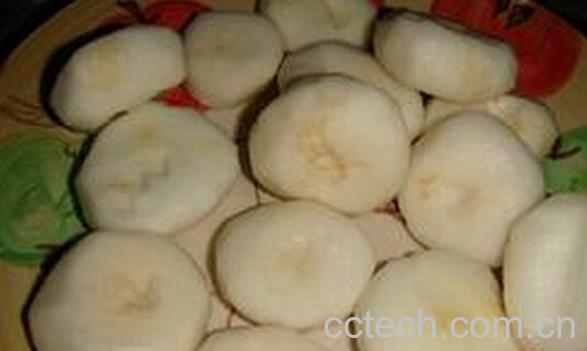 果蔬百科荸荠-0