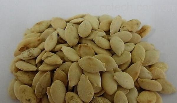 果蔬百科冬瓜子-0