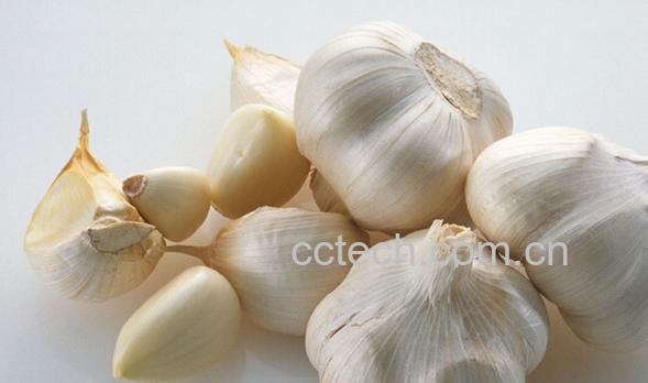 果蔬百科胃疼能吃大蒜吗-0