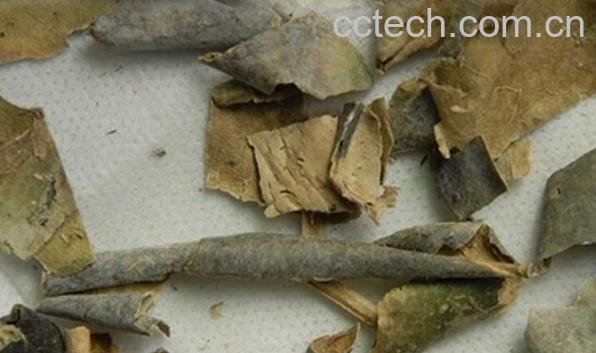 果蔬百科冬瓜皮泡水-0