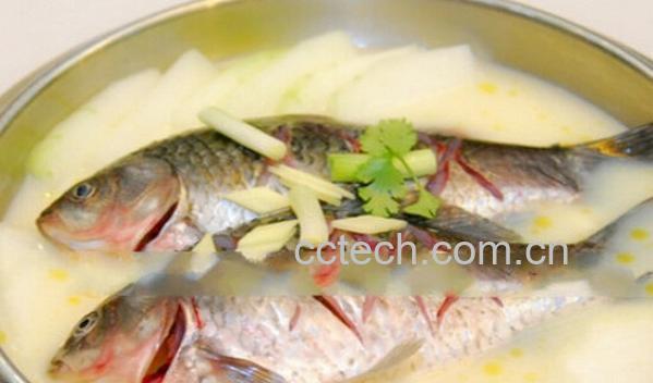 果蔬百科鲫鱼冬瓜汤-0