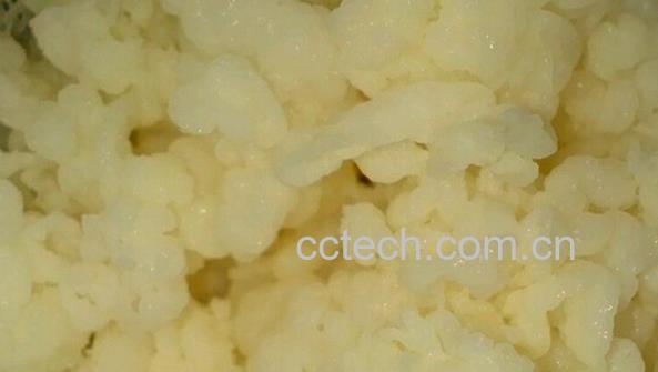 果蔬百科冰山雪莲菌-0