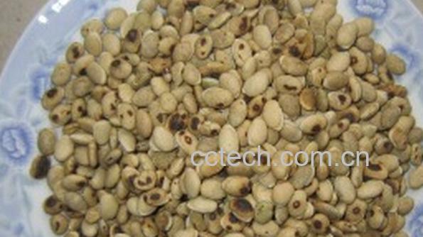 果蔬百科炒白扁豆-0