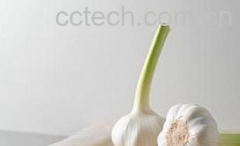 果蔬百科大蒜-0