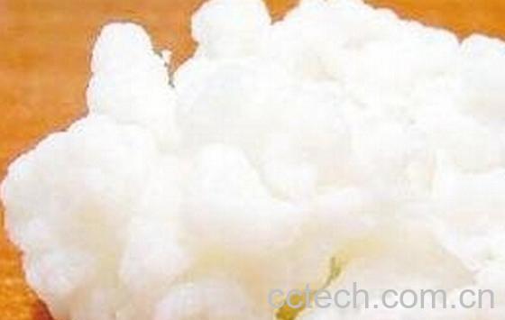 果蔬百科天山雪莲菌-0