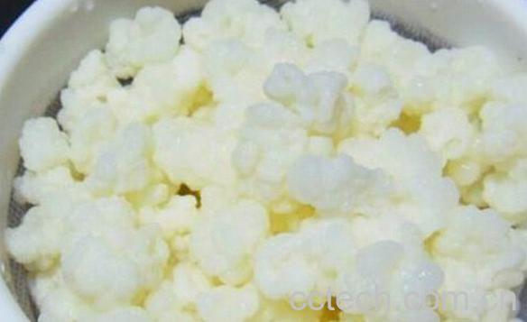 果蔬百科雪莲菌酸奶-0