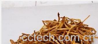 果蔬百科黄花菜-0