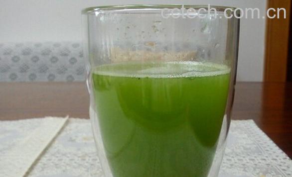 果蔬百科生冬瓜汁-0