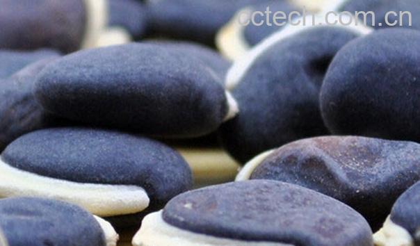 果蔬百科黑扁豆-0