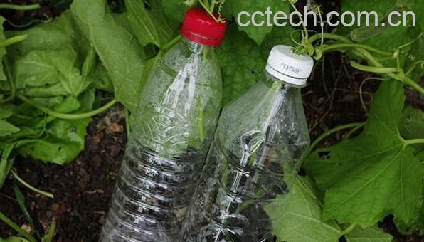 果蔬百科自制丝瓜水-0