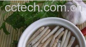 果蔬百科土笋冻-0