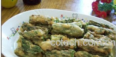 果蔬百科刺嫩芽-0