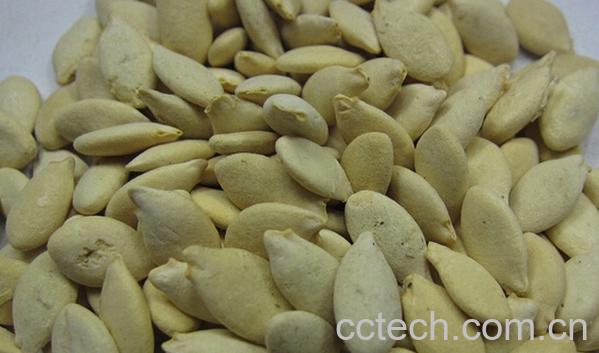 果蔬百科炒冬瓜子-0