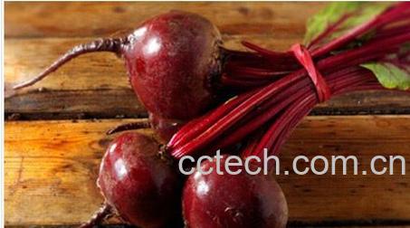 果蔬百科甜菜根-0