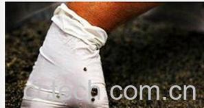 果蔬百科鱼子酱-0