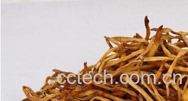 果蔬百科黄花菜-0