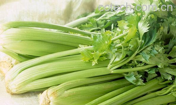 果蔬百科降血压的蔬菜-0