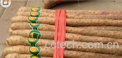 果蔬百科铁棍山药-0