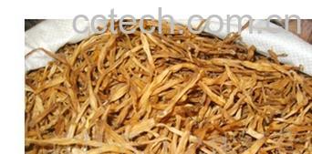 果蔬百科黄花菜-0