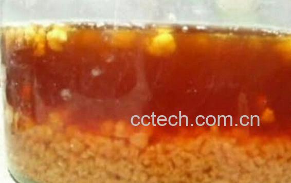 果蔬百科雪莲菌用红糖养-0