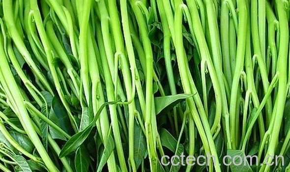 果蔬百科可以治便秘的野菜-0