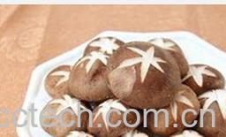 果蔬百科香菇-0